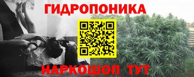 спайс Гатчина