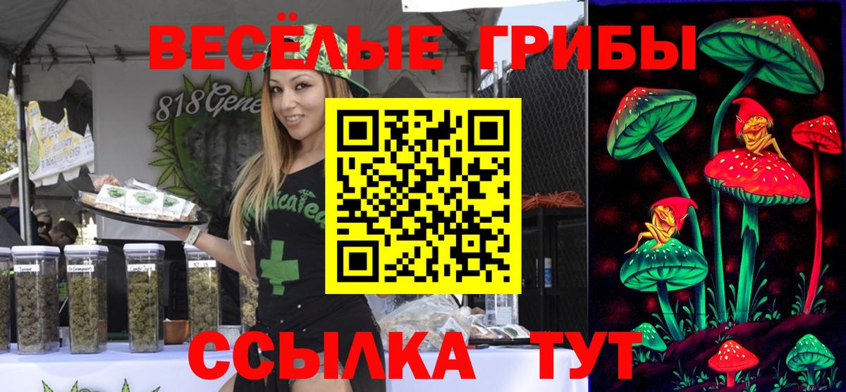 купить наркоту  Галлюциногенные грибы ЛСД  Вход с VPN  Великий Новгород  Галлюциногенные грибы Magic Shrooms 